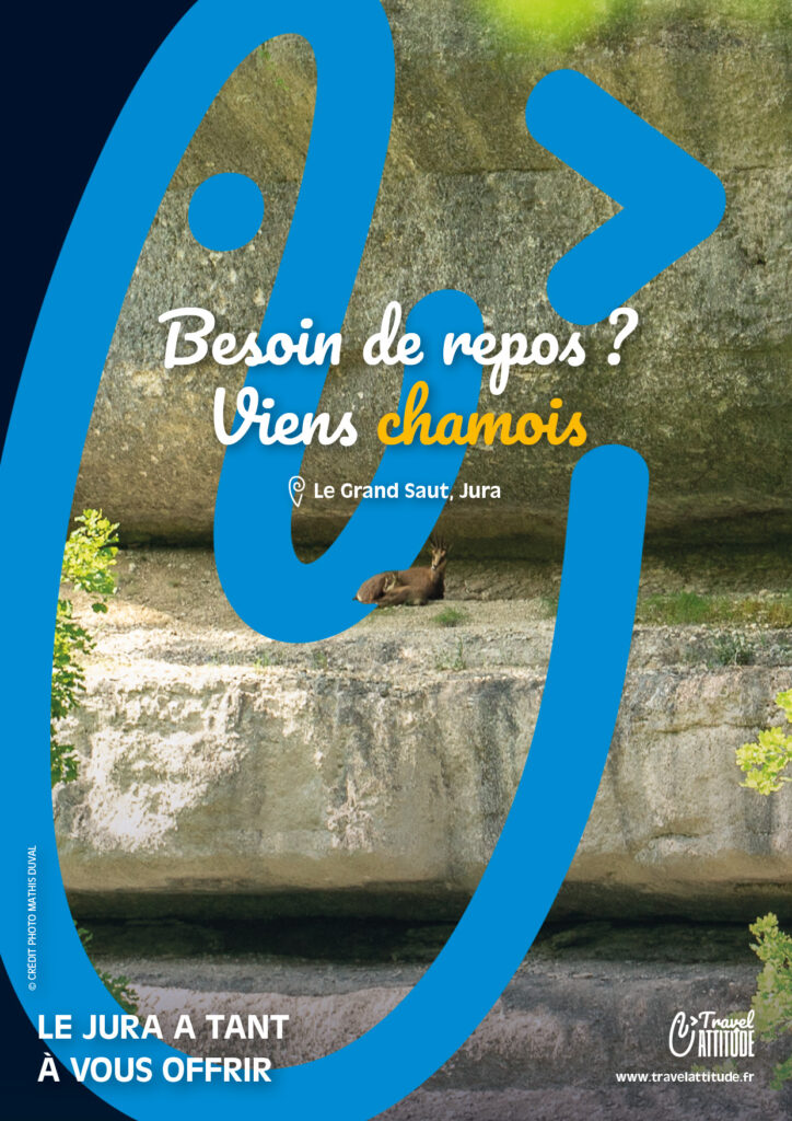 viens chamois